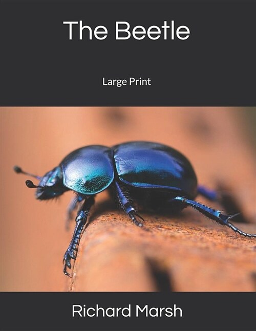 The Beetle: Large Print (Paperback)