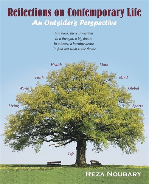 Reflections on Contemporary Life: An Outsiders Perspective (Paperback)