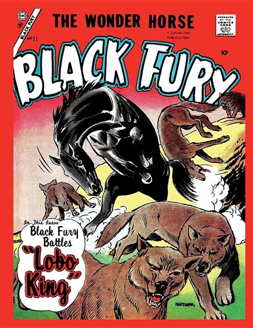 Black Fury # 11 (Paperback)