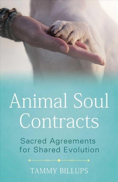 Animal Soul Contracts: Sacred Agreements for Shared Evolution (Paperback)