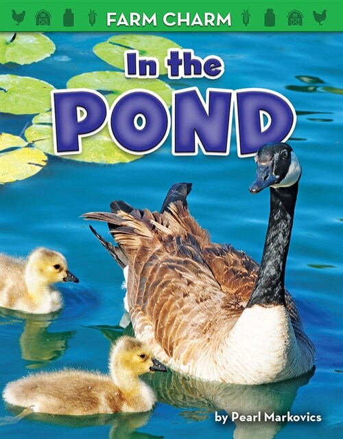 In the Pond (Paperback)