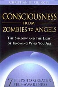 Consciousness from Zombies to Angels (Paperback)