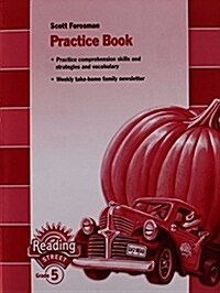 Reading 2007 Practice Book Grade 5 (Paperback)