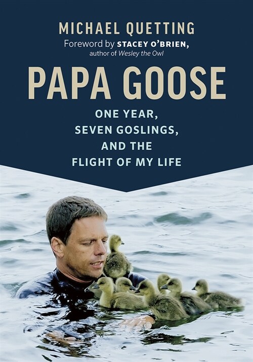 Papa Goose: One Year, Seven Goslings, and the Flight of My Life (Paperback)