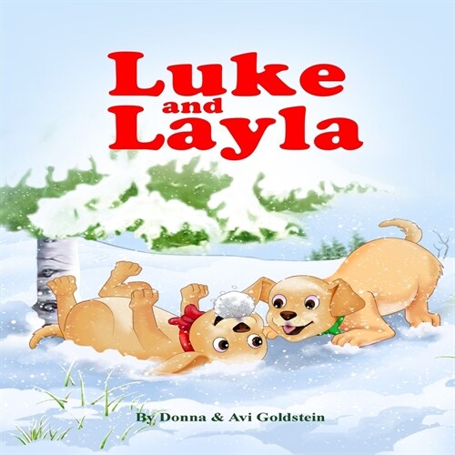 Luke and Layla (Paperback)