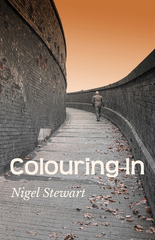 Colouring In (Paperback, 2, Re-Publication)