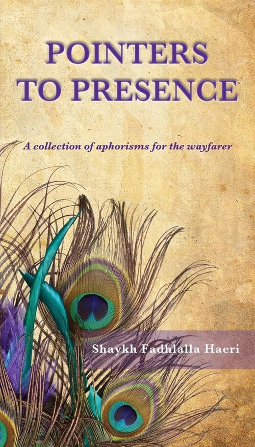 Pointers to Presence: A Collection of Aphorisms for the Wayfarer (Paperback)