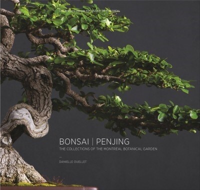 Bonsai Penjing: The Collections of the Montr?l Botanitcal Garden (Hardcover)