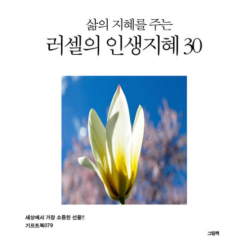 삶의 지혜를 주는 러셀의 인생 지혜 30 커버