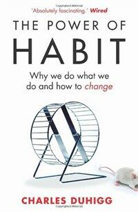 The Power of Habit : Why We Do What We Do, and How to Change (Paperback)
