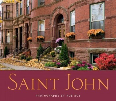 Saint John (Hardcover, 2)