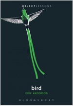 Bird (Paperback)