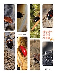 [중고] 버섯살이 곤충의 사생활