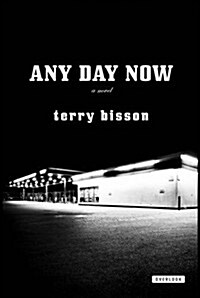 Any Day Now (Paperback)