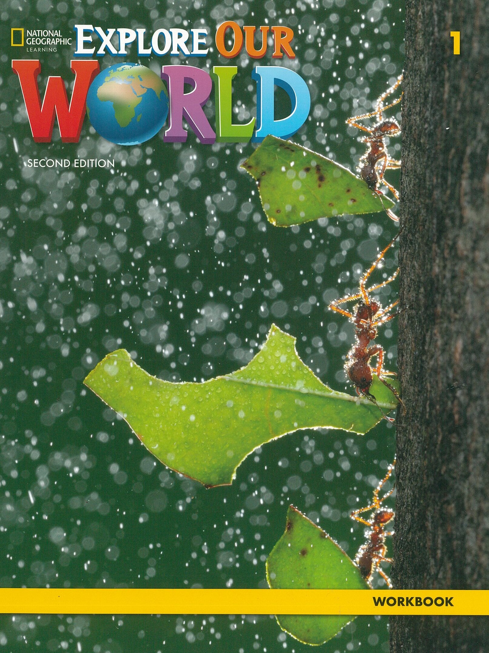 [중고] Explore Our World 1: Workbook (Paperback, 2)