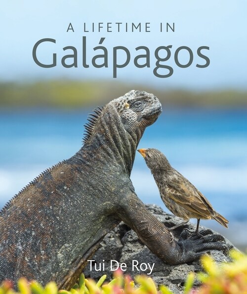 A LIFETIME IN GALAPAGOS (Hardcover)