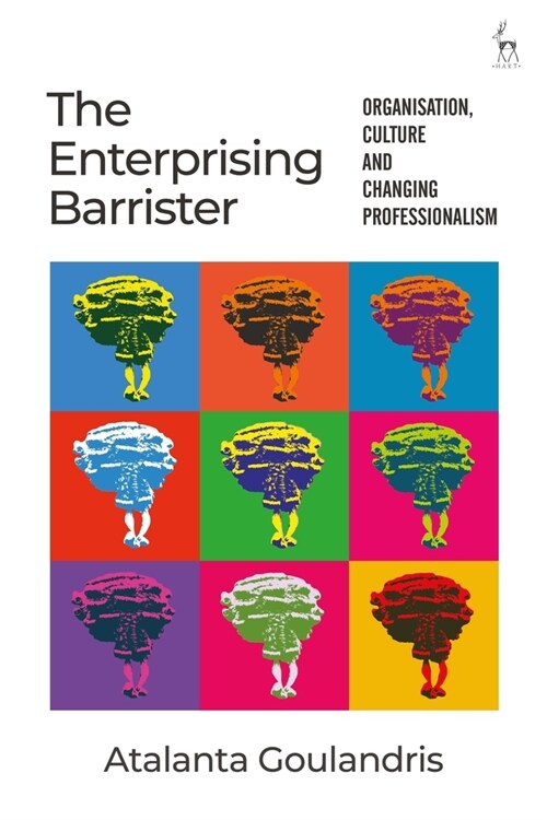 The Enterprising Barrister : Organisation, Culture and Changing Professionalism (Hardcover)