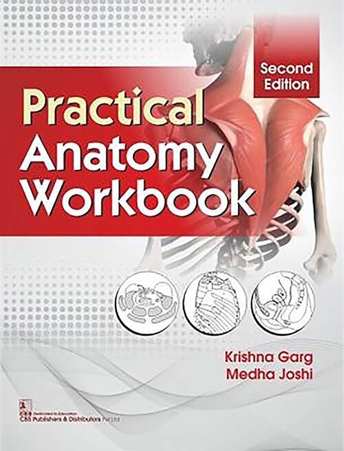 Practical Anatomy Workbook (Paperback, 2)