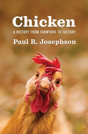 Chicken : A History from Farmyard to Factory (Hardcover)