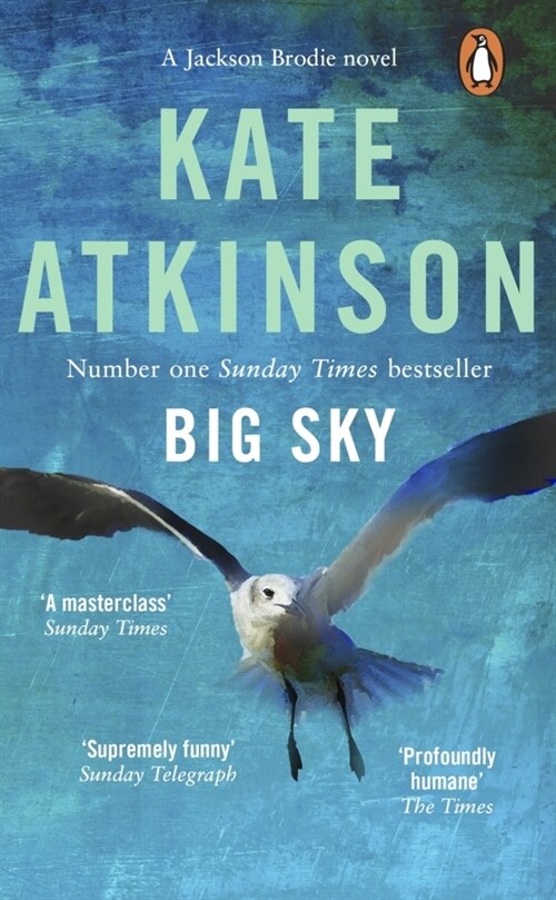 BIG SKY (Paperback)