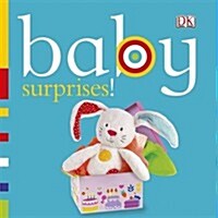 Chunky Baby Surprises! (Hardcover)