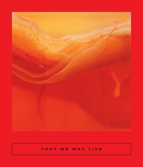 That We May Live: Speculative Chinese Fiction (Paperback)