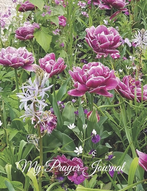 My Prayer Journal - Purple Tulips (Synaeda Blue Tulip): A Daily Guide to Prayer and Thanksgiving (Paperback)