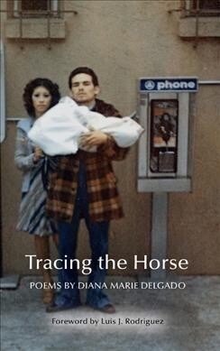 Tracing the Horse (Hardcover)