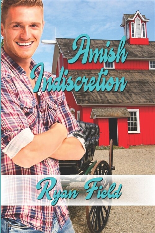 Amish Indiscretion (Paperback)