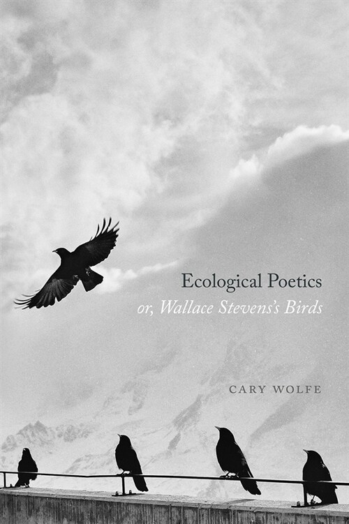 Ecological Poetics; Or, Wallace Stevenss Birds (Paperback)