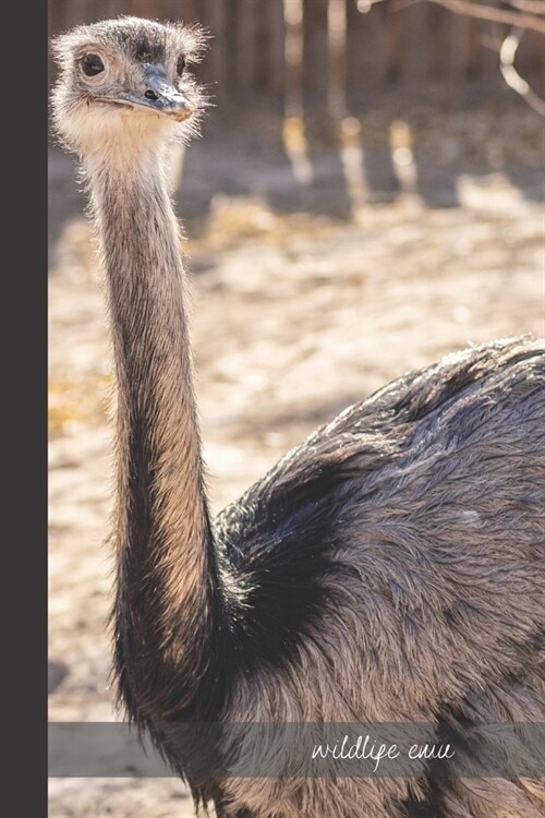 wildlife emu: small lined Emu Notebook / Travel Journal to write in (6 x 9) 120 pages (Paperback)