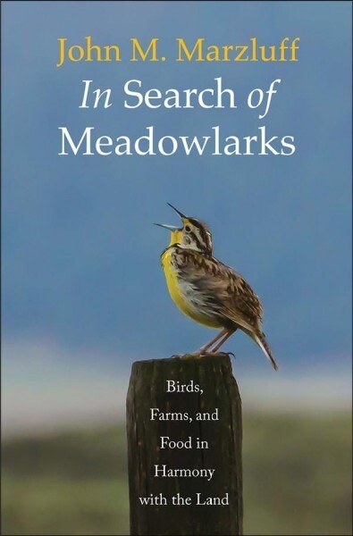 In Search of Meadowlarks: Birds, Farms, and Food in Harmony with the Land (Hardcover)