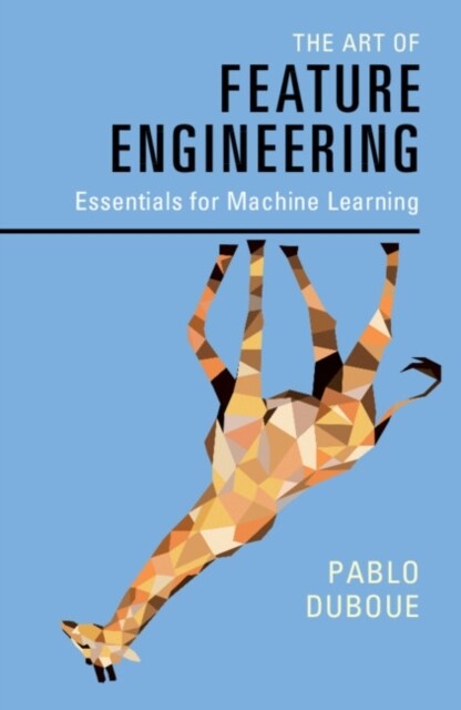 The Art of Feature Engineering : Essentials for Machine Learning (Paperback)