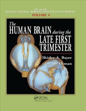 The Human Brain During the Late First Trimester (Paperback, 1)