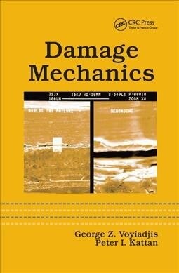 Damage Mechanics (Paperback, 1)