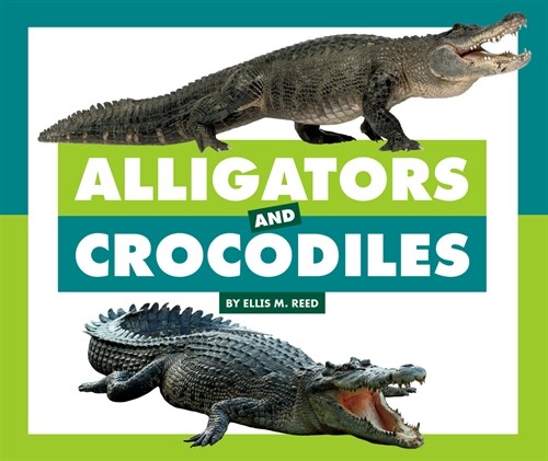 Alligators and Crocodiles (Library Binding)