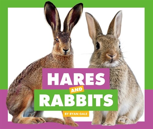 Hares and Rabbits (Library Binding)