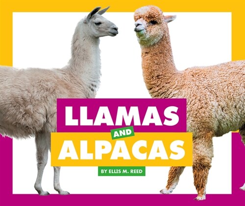 Llamas and Alpacas (Library Binding)