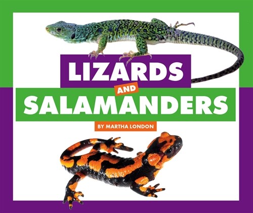 Lizards and Salamanders (Library Binding)