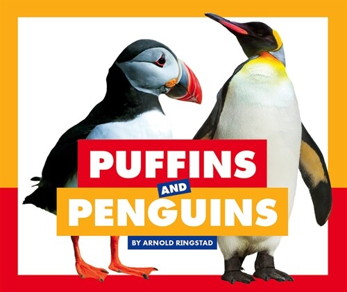 Puffins and Penguins (Library Binding)