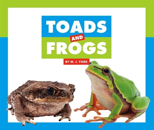 Toads and Frogs (Library Binding)