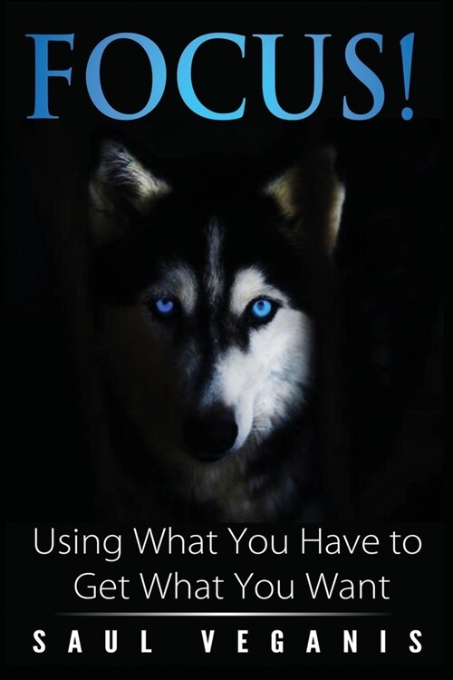 Focus!: Using What You Have to Get What You Want (Paperback)