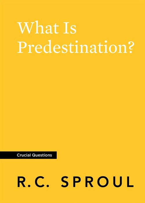 What Is Predestination? (Paperback)