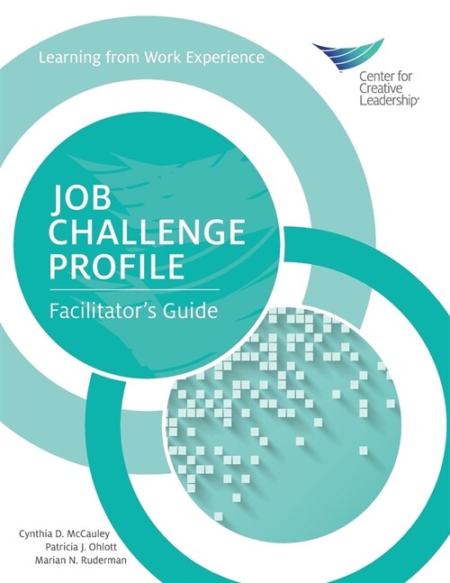 Job Challenge Profile: Facilitators Guide (Paperback)