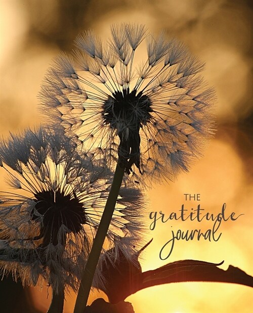The Gratitude Journal: Womens Happiness Journal Notebook - Daily Grateful, Thankful, Positivity Diary Notebook with prompts - Dandelion Flow (Paperback)