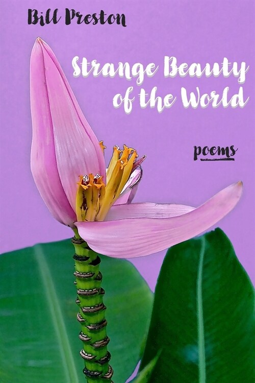 Strange Beauty of the World: Poems (Paperback)