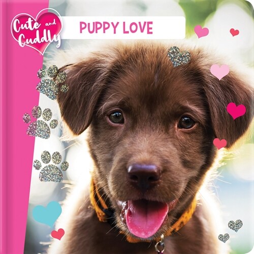 Cute and Cuddly: Puppy Love (Board Books)