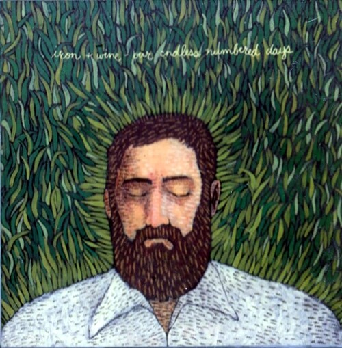 Iron & Wine - Our Endless Numbered Days