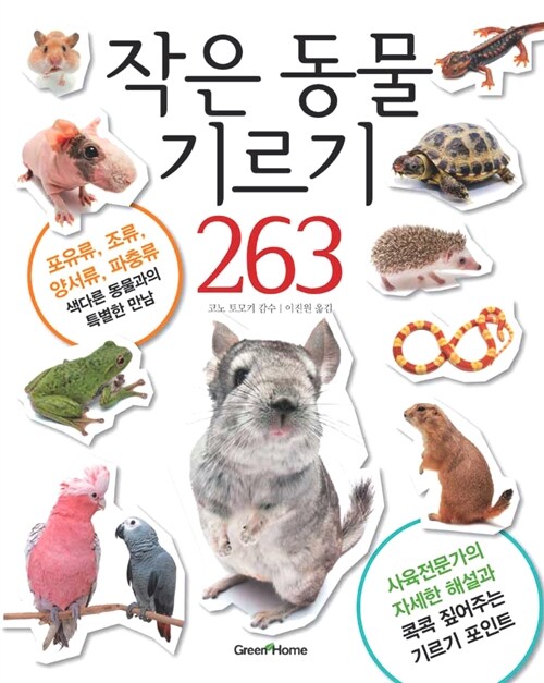 [중고] 작은 동물 기르기 263