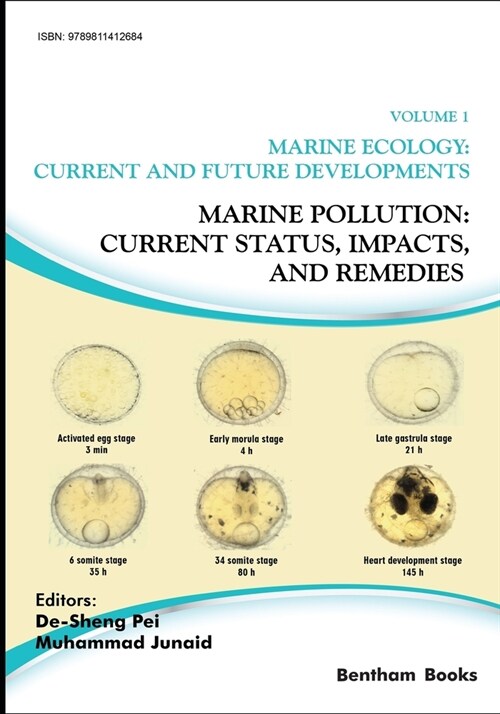 Marine Pollution: Current Status, Impacts, and Remedies (Paperback)